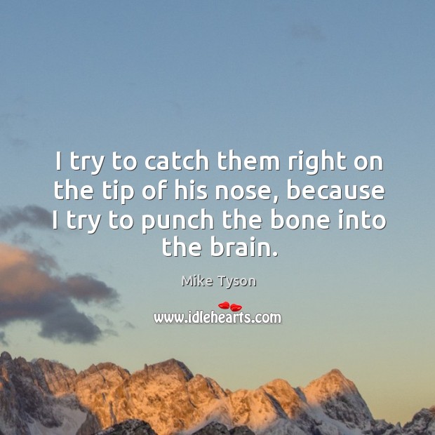 I try to catch them right on the tip of his nose, because I try to punch the bone into the brain. Mike Tyson Picture Quote