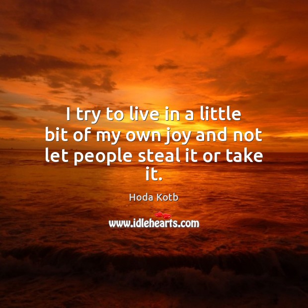I try to live in a little bit of my own joy and not let people steal it or take it. Hoda Kotb Picture Quote
