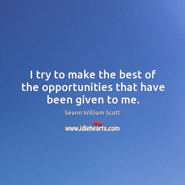I try to make the best of the opportunities that have been given to me. Seann William Scott Picture Quote