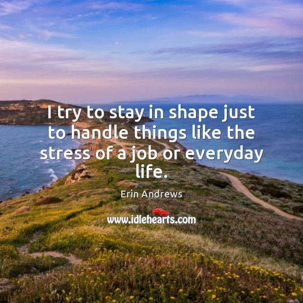 I try to stay in shape just to handle things like the stress of a job or everyday life. Erin Andrews Picture Quote