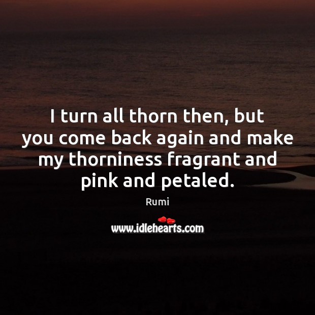 I turn all thorn then, but you come back again and make Rumi Picture Quote