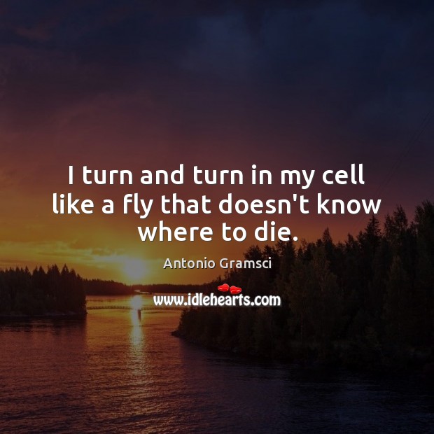 I turn and turn in my cell like a fly that doesn’t know where to die. Antonio Gramsci Picture Quote