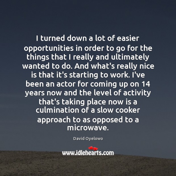 I turned down a lot of easier opportunities in order to go David Oyelowo Picture Quote
