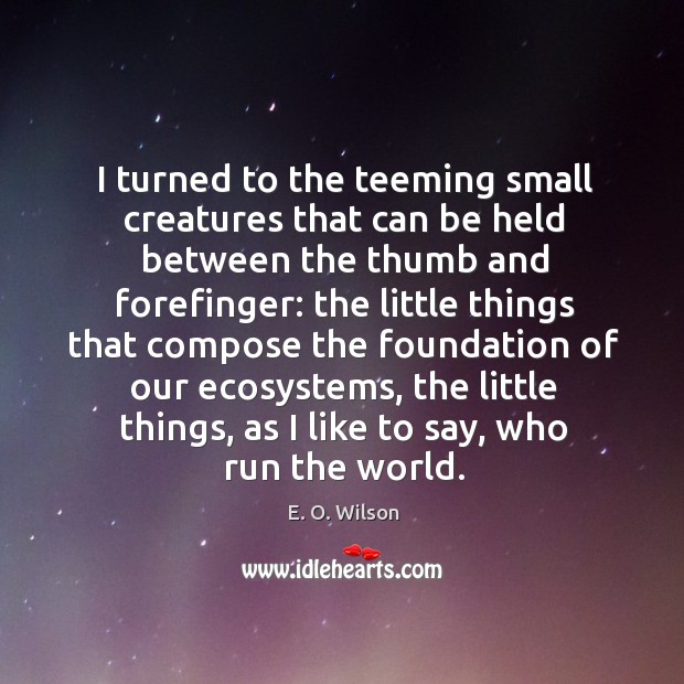 I turned to the teeming small creatures that can be held between E. O. Wilson Picture Quote