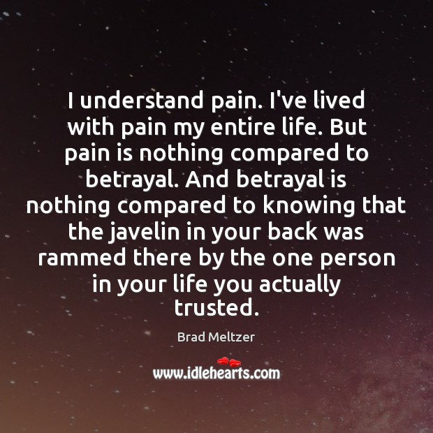 I understand pain. I’ve lived with pain my entire life. But pain Brad Meltzer Picture Quote