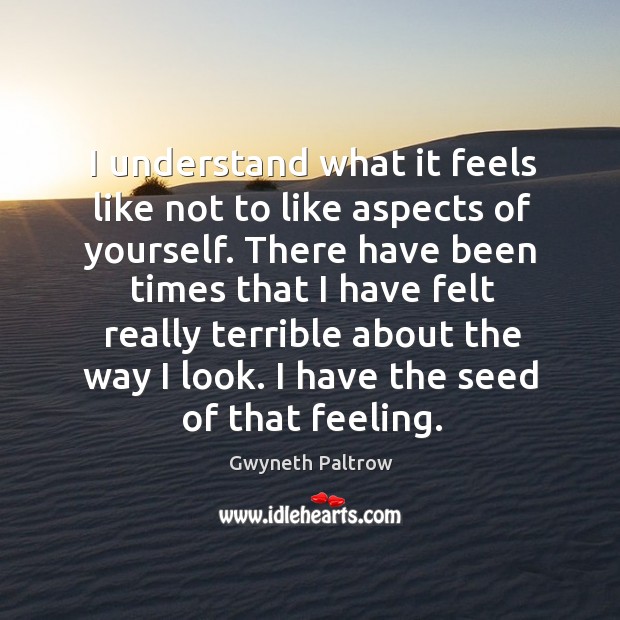 I understand what it feels like not to like aspects of yourself. Gwyneth Paltrow Picture Quote