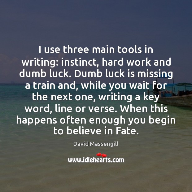 I use three main tools in writing: instinct, hard work and dumb David Massengill Picture Quote