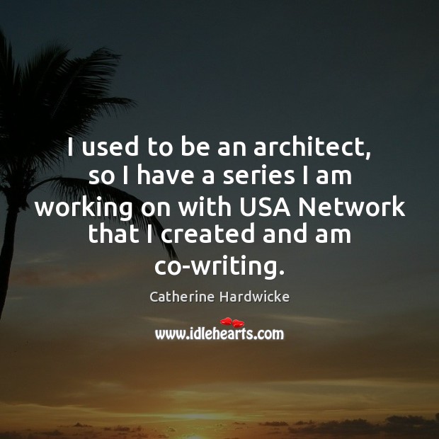 I used to be an architect, so I have a series I Catherine Hardwicke Picture Quote