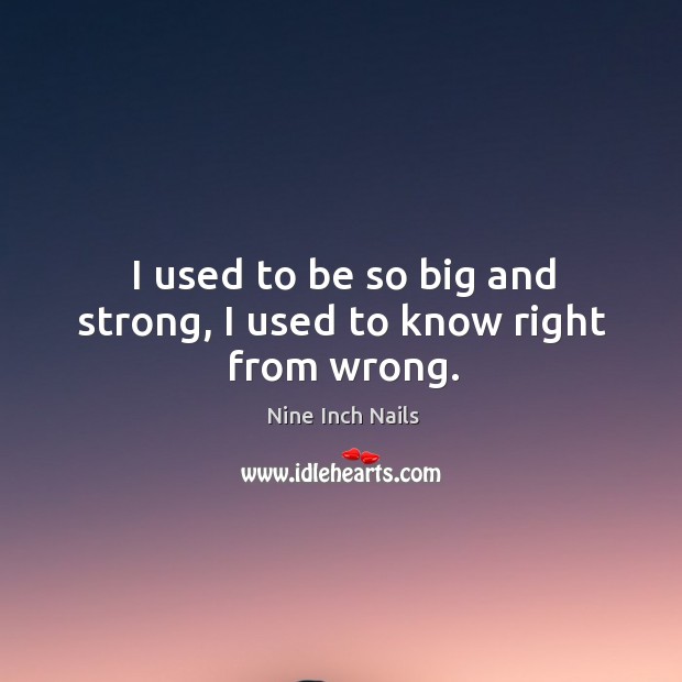 I used to be so big and strong, I used to know right from wrong. Nine Inch Nails Picture Quote
