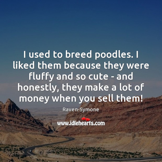 I used to breed poodles. I liked them because they were fluffy Raven-Symone Picture Quote