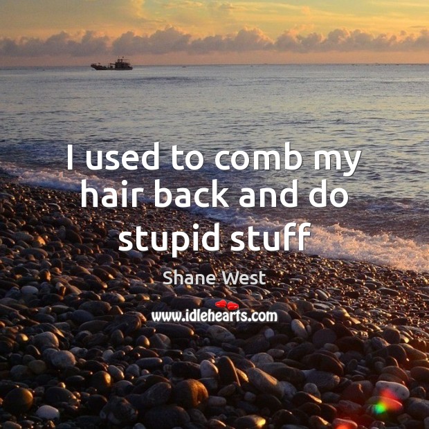 I used to comb my hair back and do stupid stuff Shane West Picture Quote