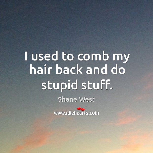I used to comb my hair back and do stupid stuff. Shane West Picture Quote