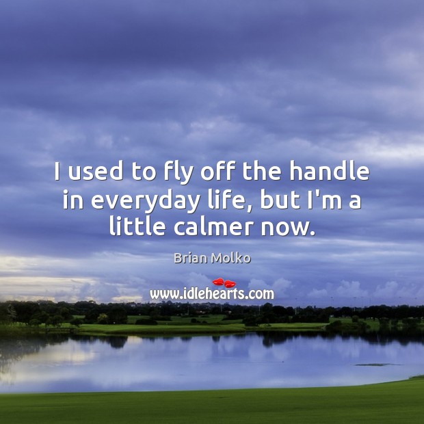 I used to fly off the handle in everyday life, but I’m a little calmer now. Brian Molko Picture Quote