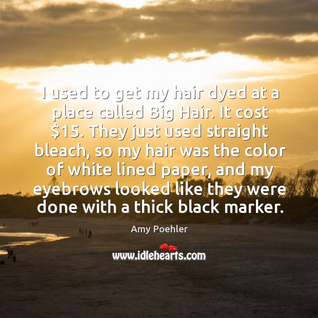 I used to get my hair dyed at a place called big hair. It cost $15. Amy Poehler Picture Quote