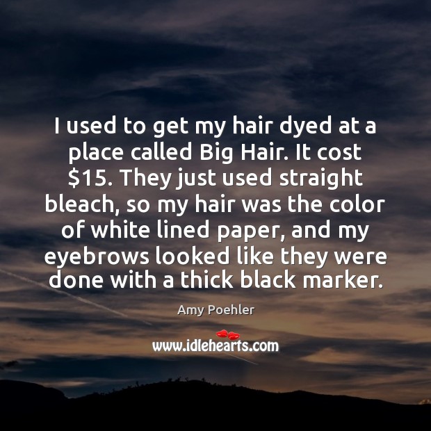 I used to get my hair dyed at a place called Big Amy Poehler Picture Quote