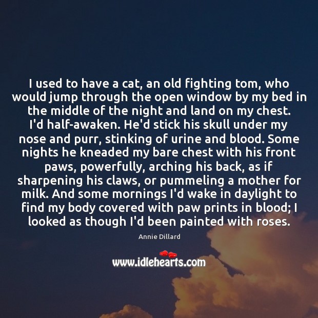 I used to have a cat, an old fighting tom, who would Annie Dillard Picture Quote