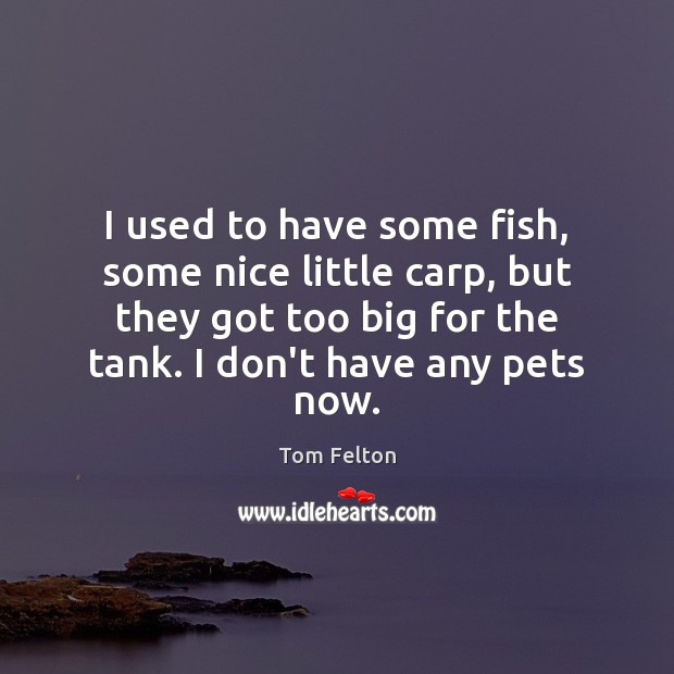 I used to have some fish, some nice little carp, but they Tom Felton Picture Quote