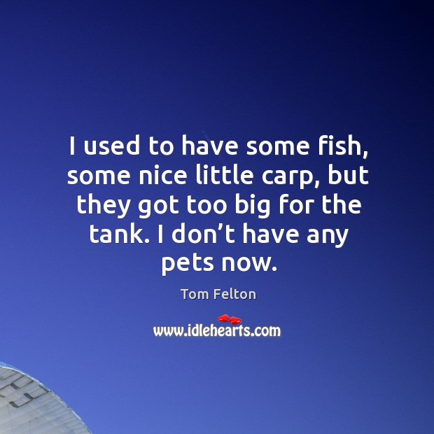 I used to have some fish, some nice little carp, but they got too big for the tank. I don’t have any pets now. Tom Felton Picture Quote