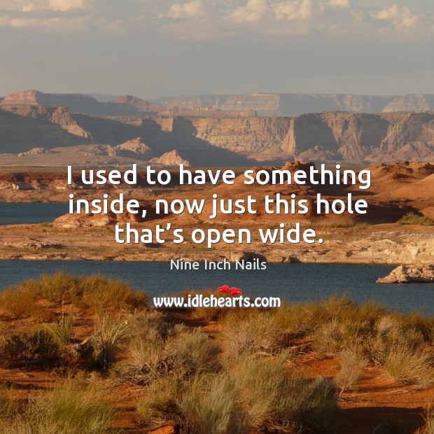 I used to have something inside, now just this hole that’s open wide. Nine Inch Nails Picture Quote