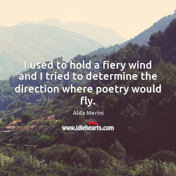 I used to hold a fiery wind and I tried to determine the direction where poetry would fly. Image