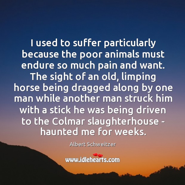 I used to suffer particularly because the poor animals must endure so Albert Schweitzer Picture Quote