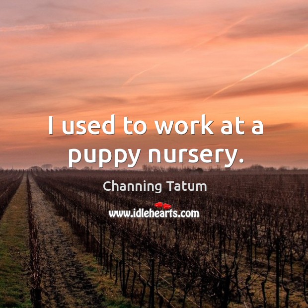 I used to work at a puppy nursery. Channing Tatum Picture Quote