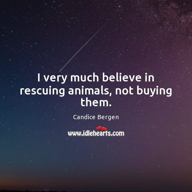 I very much believe in rescuing animals, not buying them. Image