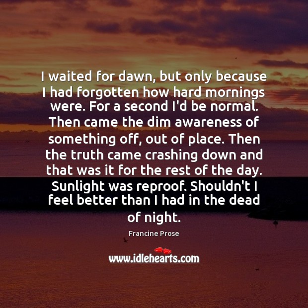 I waited for dawn, but only because I had forgotten how hard Francine Prose Picture Quote