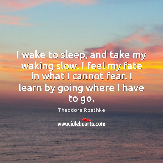 I wake to sleep, and take my waking slow. I feel my Theodore Roethke Picture Quote