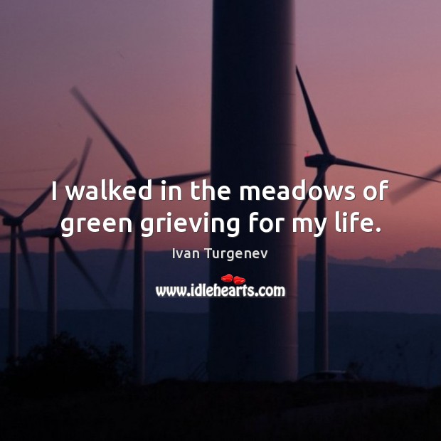 I walked in the meadows of green grieving for my life. Image