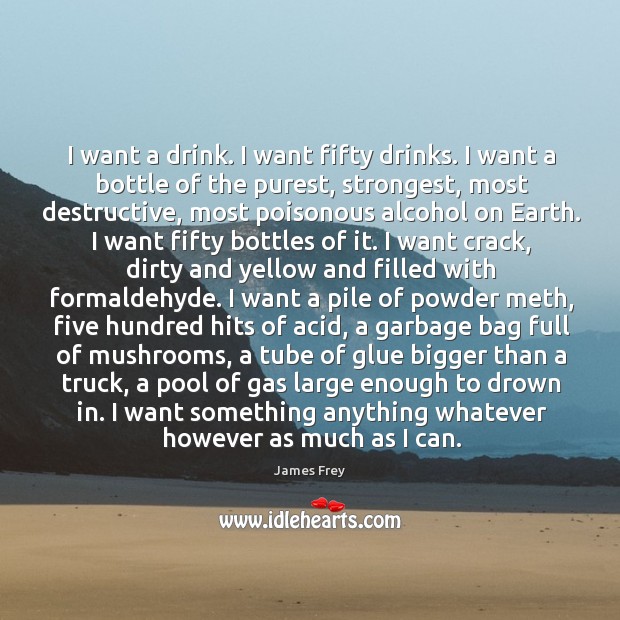 I want a drink. I want fifty drinks. I want a bottle James Frey Picture Quote