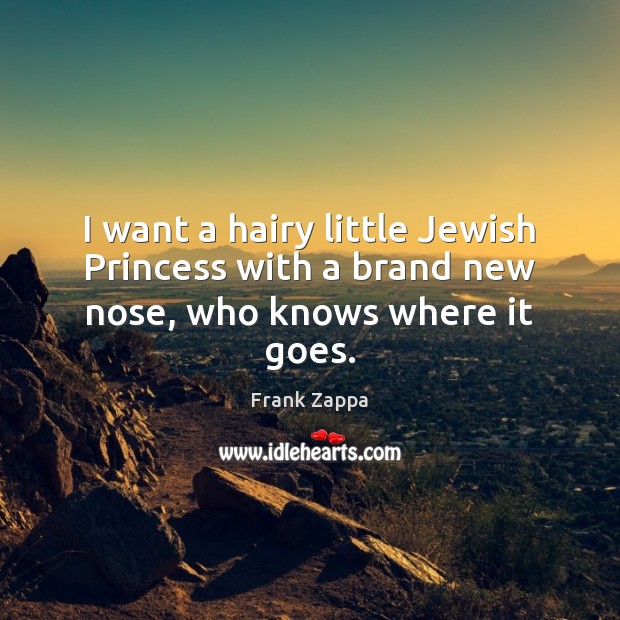 I want a hairy little Jewish Princess with a brand new nose, who knows where it goes. Frank Zappa Picture Quote