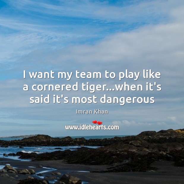 I want my team to play like a cornered tiger…when it’s said it’s most dangerous Imran Khan Picture Quote