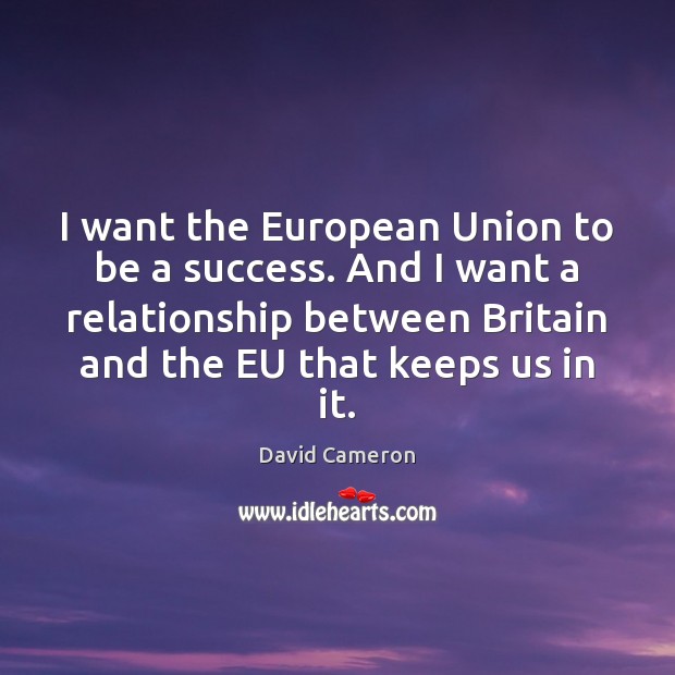 I want the European Union to be a success. And I want David Cameron Picture Quote
