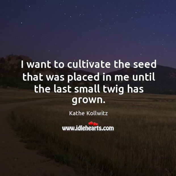 I want to cultivate the seed that was placed in me until the last small twig has grown. Kathe Kollwitz Picture Quote