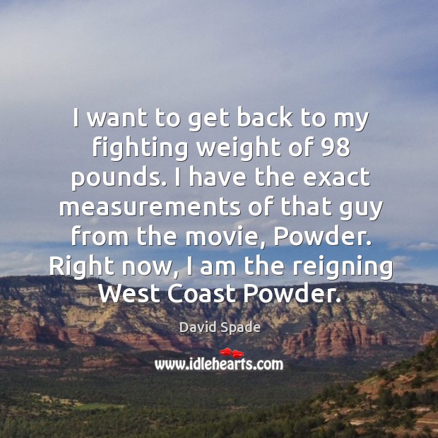 I want to get back to my fighting weight of 98 pounds. David Spade Picture Quote