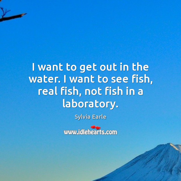 I want to get out in the water. I want to see fish, real fish, not fish in a laboratory. Sylvia Earle Picture Quote