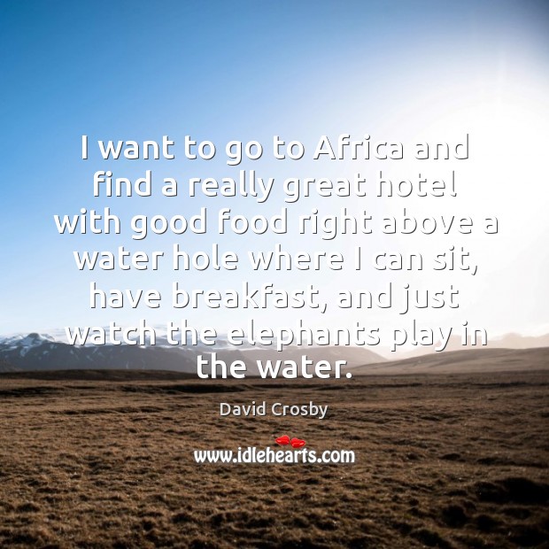 I want to go to Africa and find a really great hotel David Crosby Picture Quote