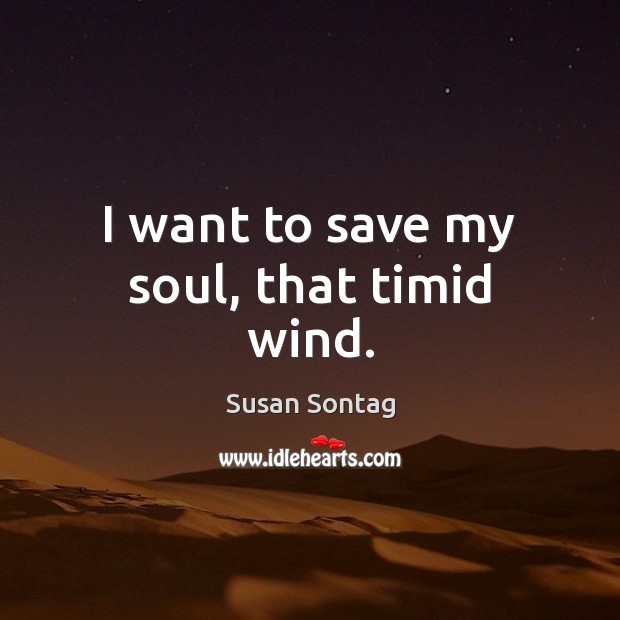 I want to save my soul, that timid wind. Image