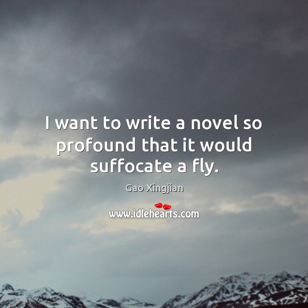 I want to write a novel so profound that it would suffocate a fly. Image