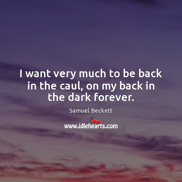 I want very much to be back in the caul, on my back in the dark forever. Samuel Beckett Picture Quote