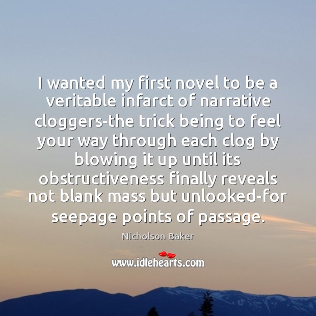 I wanted my first novel to be a veritable infarct of narrative Nicholson Baker Picture Quote