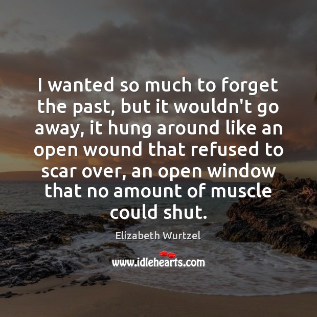 I wanted so much to forget the past, but it wouldn’t go Elizabeth Wurtzel Picture Quote
