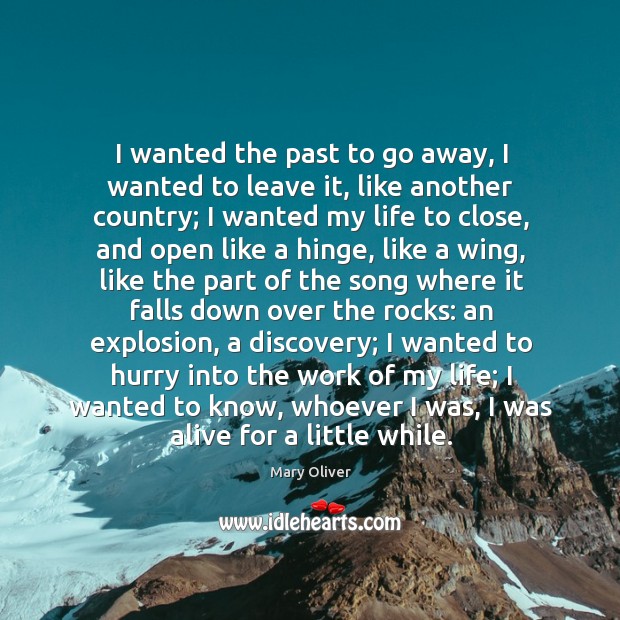 I wanted the past to go away, I wanted to leave it, Mary Oliver Picture Quote