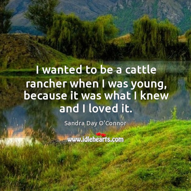 I wanted to be a cattle rancher when I was young, because it was what I knew and I loved it. Sandra Day O’Connor Picture Quote