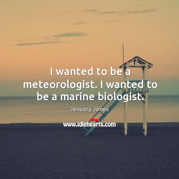 I wanted to be a meteorologist. I wanted to be a marine biologist. January Jones Picture Quote
