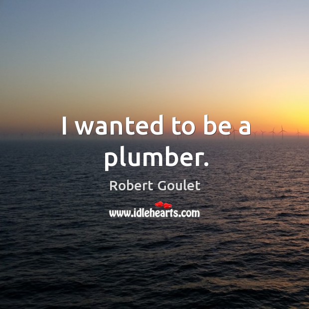 I wanted to be a plumber. Robert Goulet Picture Quote