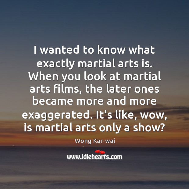 I wanted to know what exactly martial arts is. When you look Wong Kar-wai Picture Quote