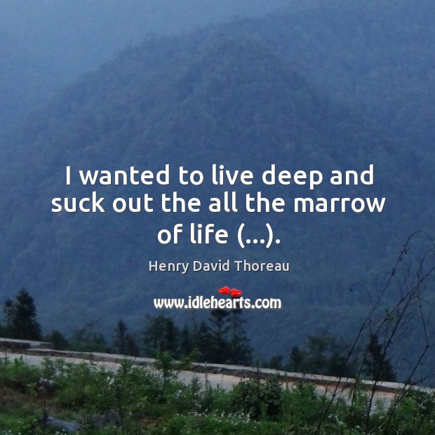 I wanted to live deep and suck out the all the marrow of life (…). Henry David Thoreau Picture Quote
