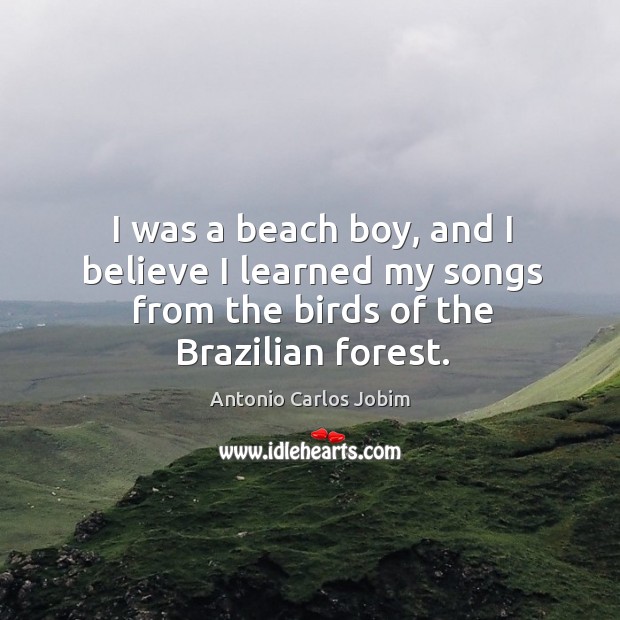 I was a beach boy, and I believe I learned my songs Antonio Carlos Jobim Picture Quote